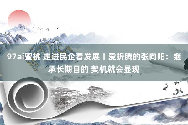 97ai蜜桃 走进民企看发展丨爱折腾的张向阳：继承长期目的 契机就会显现