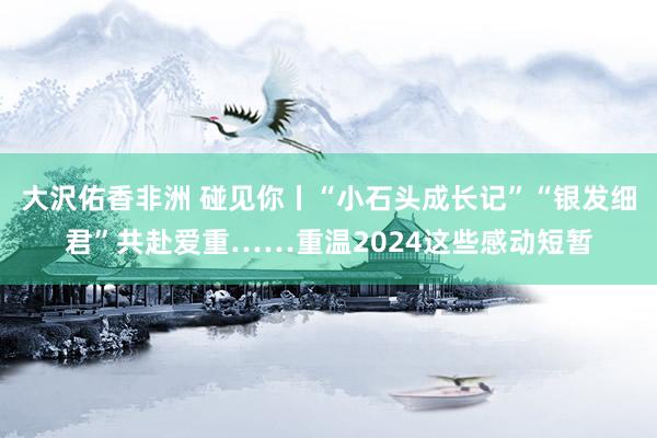 大沢佑香非洲 碰见你丨“小石头成长记”“银发细君”共赴爱重……重温2024这些感动短暂