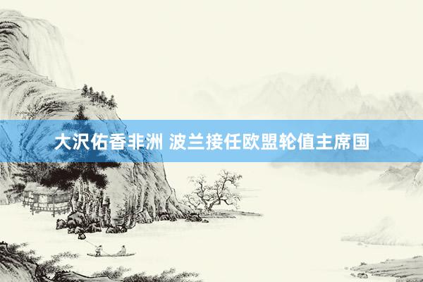 大沢佑香非洲 波兰接任欧盟轮值主席国