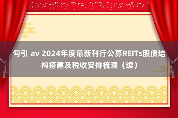 勾引 av 2024年度最新刊行公募REITs股债结构搭建及税收安排梳理（续）