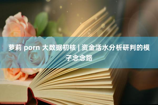 萝莉 porn 大数据初核 | 资金活水分析研判的模子念念路