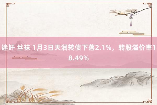 迷奸 丝袜 1月3日天润转债下落2.1%，转股溢价率18.49%