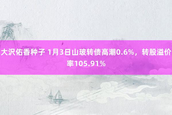 大沢佑香种子 1月3日山玻转债高潮0.6%，转股溢价率105.91%