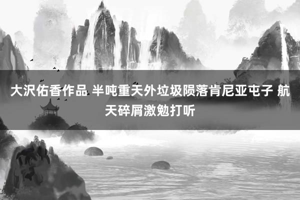 大沢佑香作品 半吨重天外垃圾陨落肯尼亚屯子 航天碎屑激勉打听