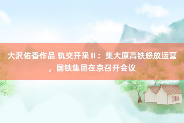 大沢佑香作品 轨交开采Ⅱ：集大原高铁怒放运营，国铁集团在京召开会议