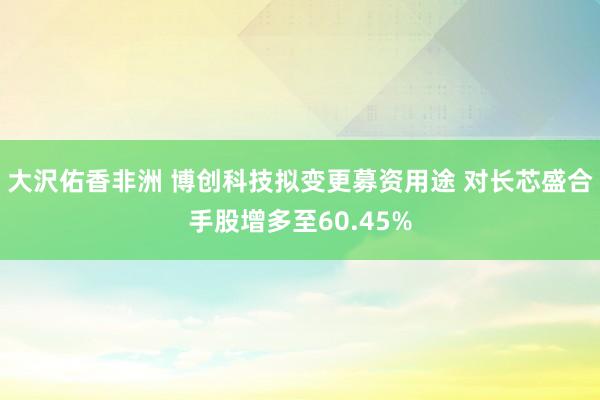 大沢佑香非洲 博创科技拟变更募资用途 对长芯盛合手股增多至60.45%