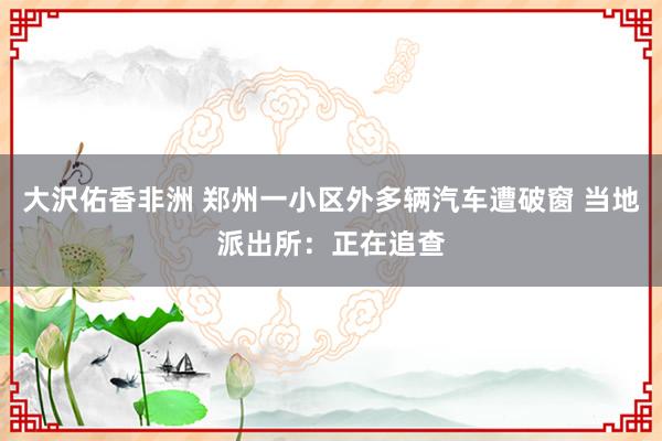 大沢佑香非洲 郑州一小区外多辆汽车遭破窗 当地派出所：正在追查
