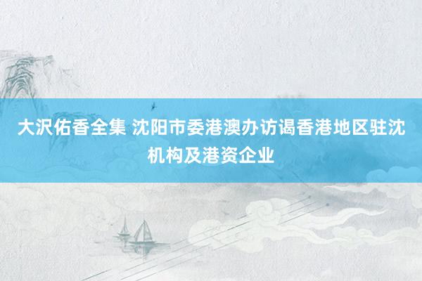 大沢佑香全集 沈阳市委港澳办访谒香港地区驻沈机构及港资企业