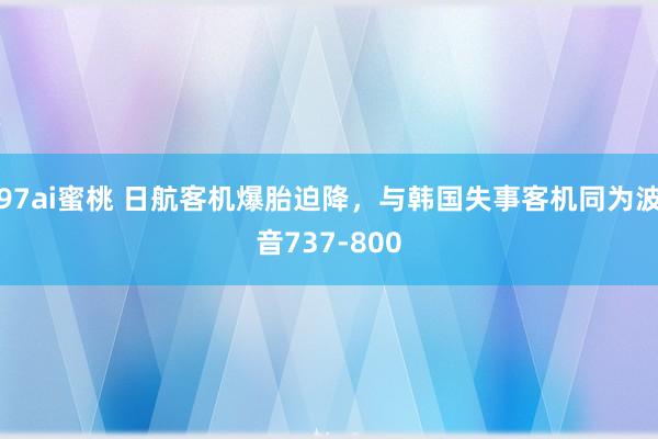 97ai蜜桃 日航客机爆胎迫降，与韩国失事客机同为波音737-800