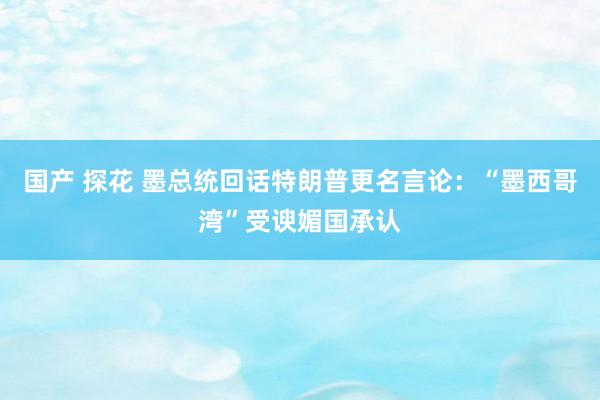 国产 探花 墨总统回话特朗普更名言论：“墨西哥湾”受谀媚国承认