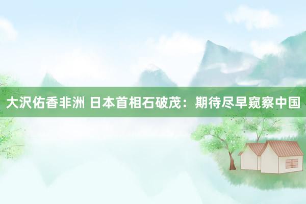 大沢佑香非洲 日本首相石破茂：期待尽早窥察中国