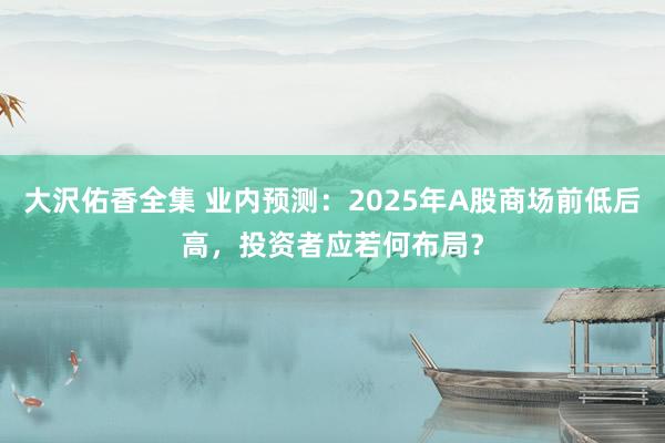 大沢佑香全集 业内预测：2025年A股商场前低后高，投资者应若何布局？