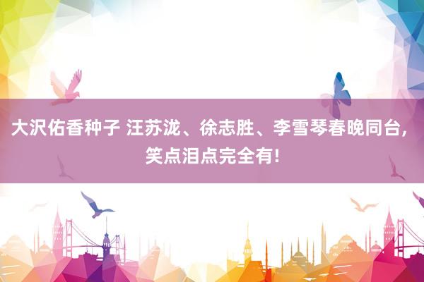 大沢佑香种子 汪苏泷、徐志胜、李雪琴春晚同台， 笑点泪点完全有!