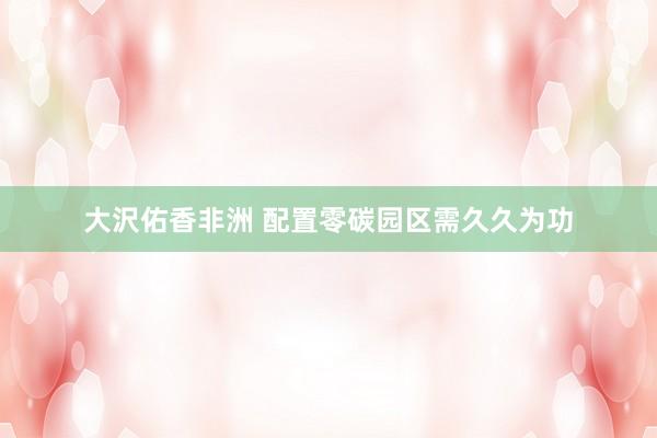 大沢佑香非洲 配置零碳园区需久久为功