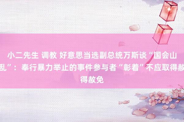 小二先生 调教 好意思当选副总统万斯谈“国会山骚乱”：奉行暴力举止的事件参与者“彰着”不应取得赦免