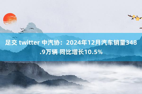 足交 twitter 中汽协：2024年12月汽车销量348.9万辆 同比增长10.5%