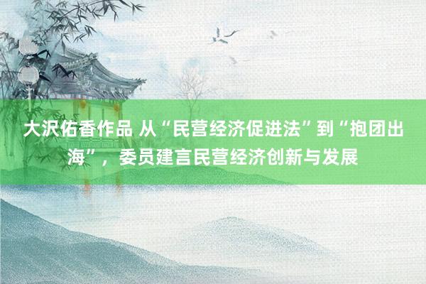 大沢佑香作品 从“民营经济促进法”到“抱团出海”，委员建言民营经济创新与发展