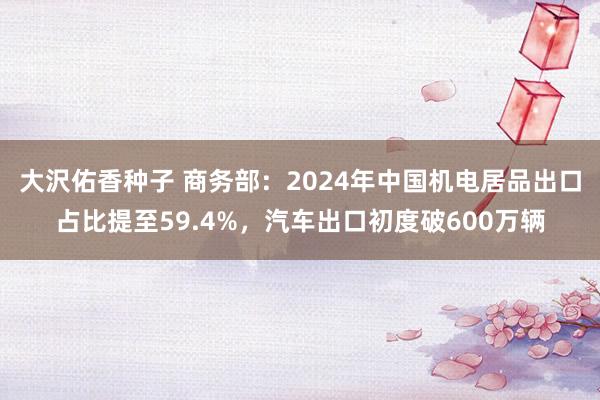 大沢佑香种子 商务部：2024年中国机电居品出口占比提至59.4%，汽车出口初度破600万辆