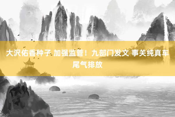 大沢佑香种子 加强监管！九部门发文 事关纯真车尾气排放