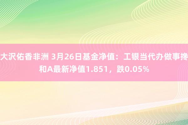 大沢佑香非洲 3月26日基金净值：工银当代办做事搀和A最新净值1.851，跌0.05%