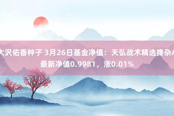 大沢佑香种子 3月26日基金净值：天弘战术精选搀杂A最新净值0.9981，涨0.01%