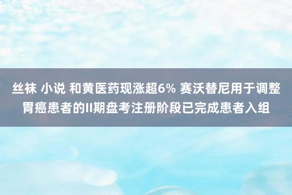 丝袜 小说 和黄医药现涨超6% 赛沃替尼用于调整胃癌患者的II期盘考注册阶段已完成患者入组
